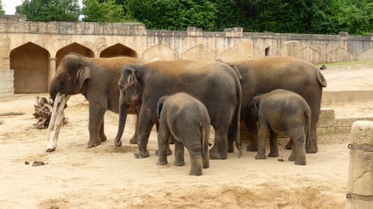 Adventure zoo jungle palace lower saxony