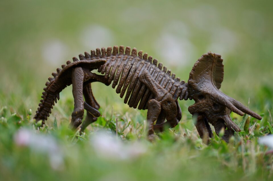 Herbivore toy grass