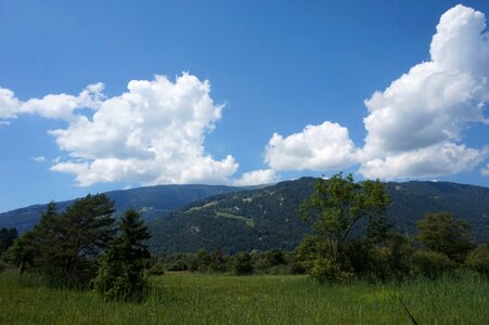 Mountains forest nature reserve