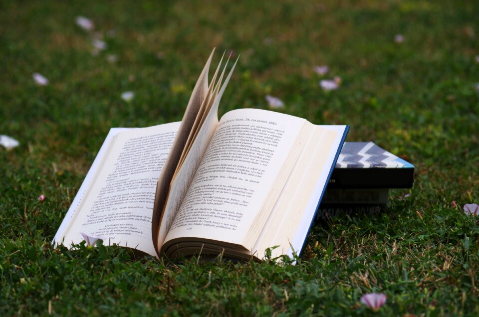Books reading to read