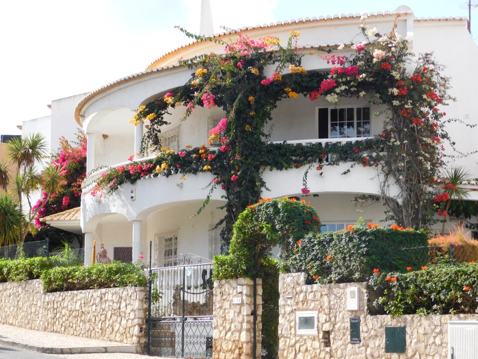 Facade flowers white building