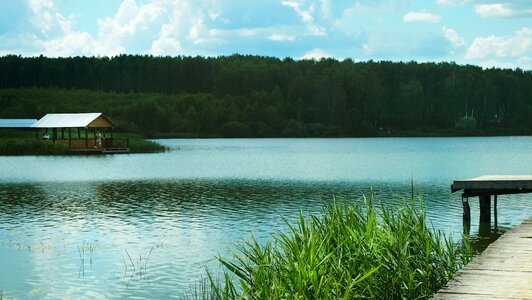 Chizhkovskoe lake russian nature landscape