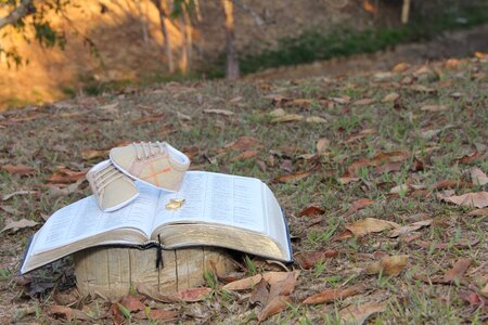 Waiting for baby bible pray