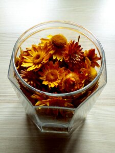 Colorful flowers orange