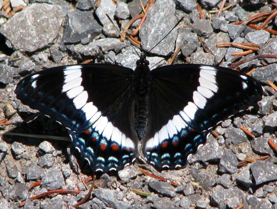 Close-up moneymore ontario