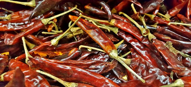 Bird's beak chile rat's tail chile peppers photo