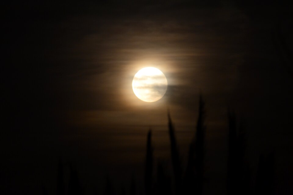 Moon night night landscape