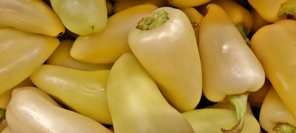 White peppers hot chiles photo