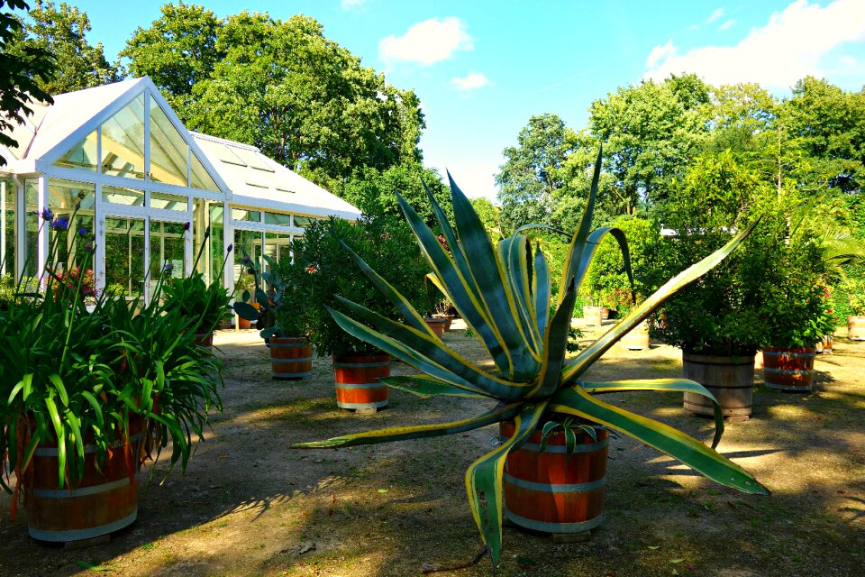 Conservatory glasshouse horticulture