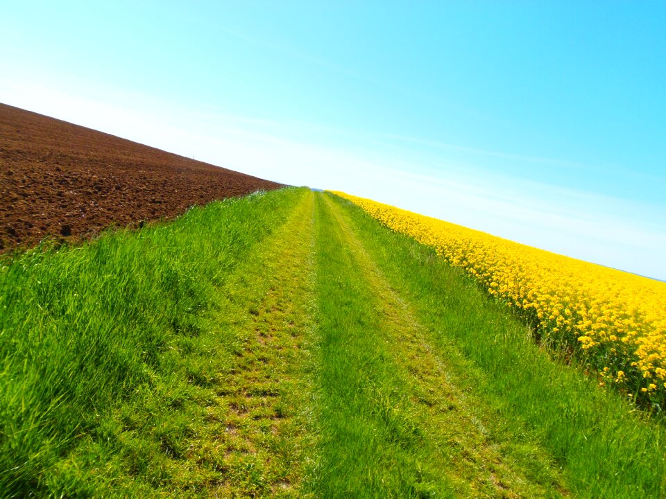 Hiking fields perspective