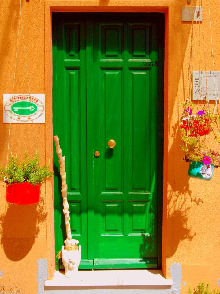 Landlord flowers colors