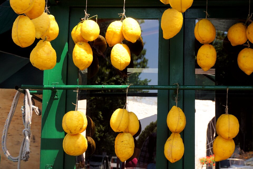 Yellow fruit citrus fruits