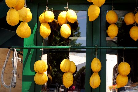 Yellow fruit citrus fruits