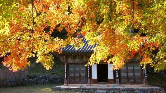 Nature traditional architecture korea
