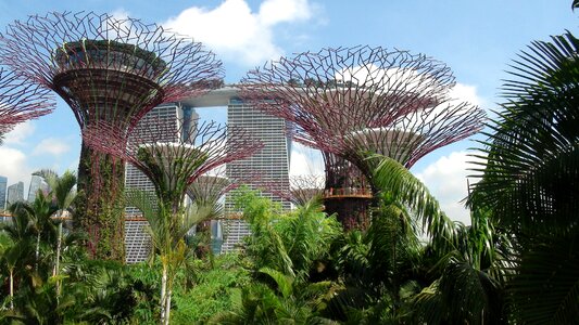 Singapore landmark garden