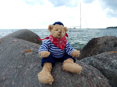 Teddy teddy bear water