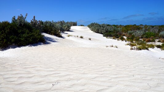 Dune australia quartz sand photo
