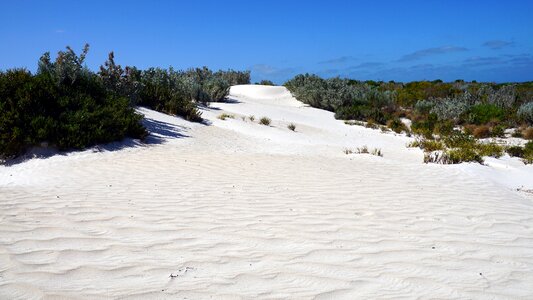 Dune australia quartz sand