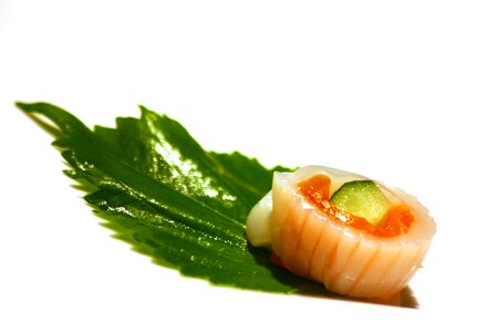 Sashimi japanese