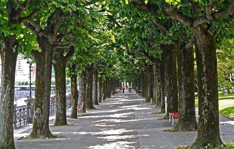 Ticino switzerland fences photo