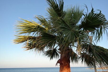 Holiday holidays beach photo