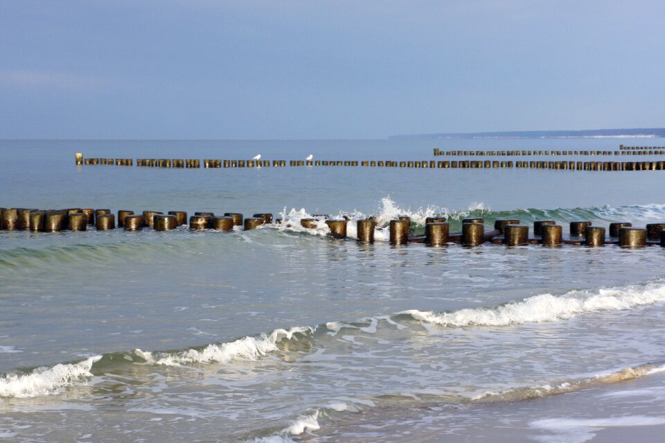Baltic sea beach buhne water