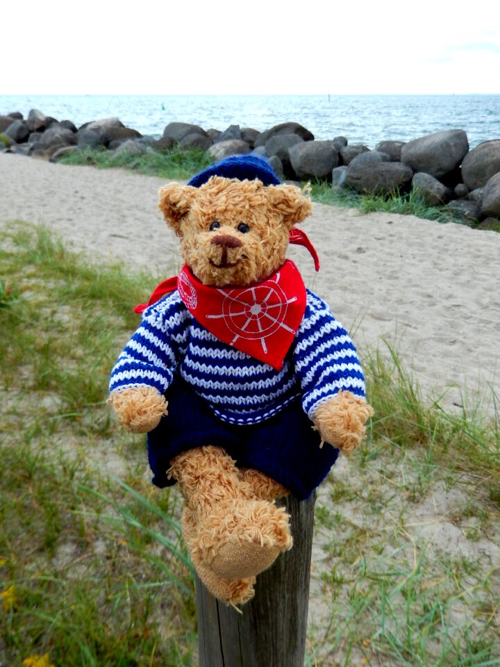 Children toys furry teddy bear play
