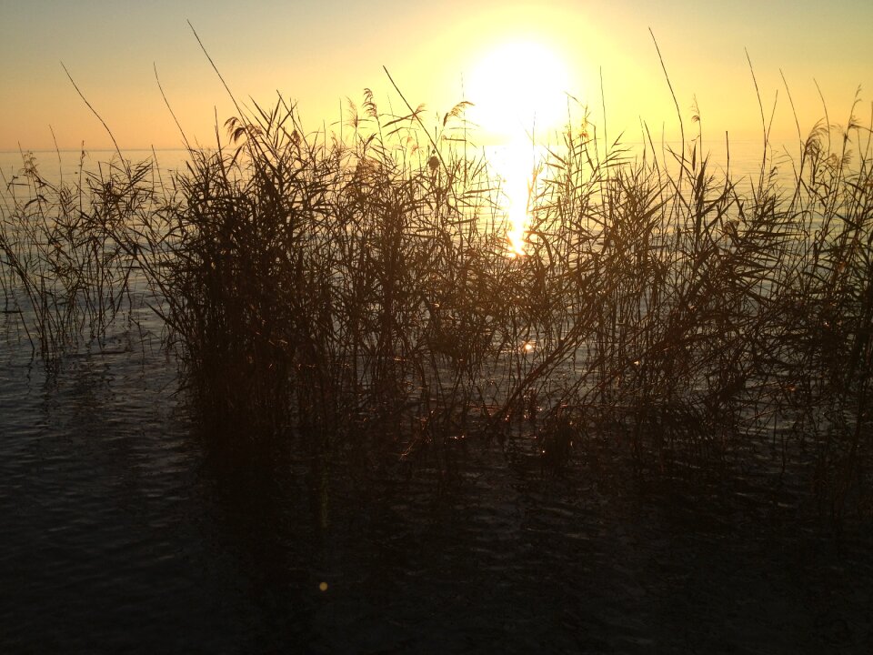 Sunsets landscape nature