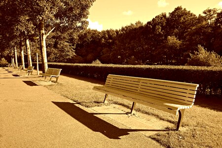Wooden bench rest relaxation photo