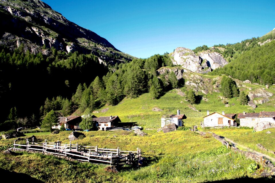 The monal savoie saint foy tarentaise