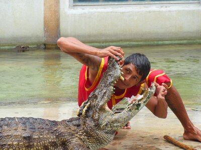 Thailand show people with crocodiles photo