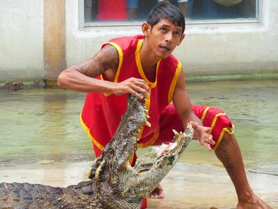 Show people with crocodiles opened last month photo