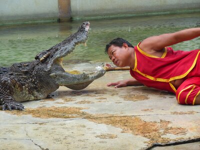Thailand show people with crocodiles