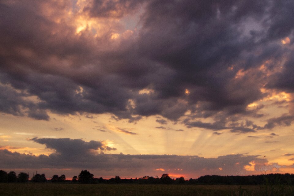 Nature evening the sun