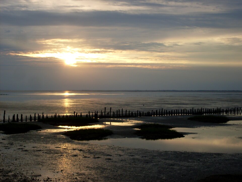 Silhouette sea evening