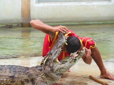 Thailand show people with crocodiles photo
