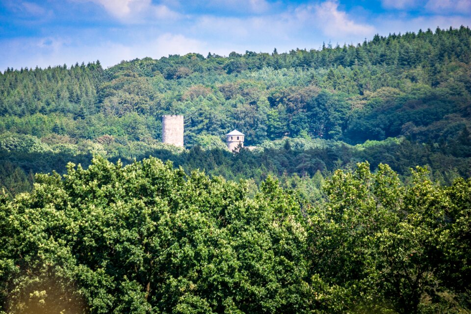 Forest eifel langerwehe
