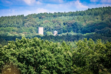 Forest eifel langerwehe