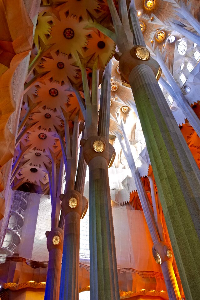 Ceiling barcelona familia