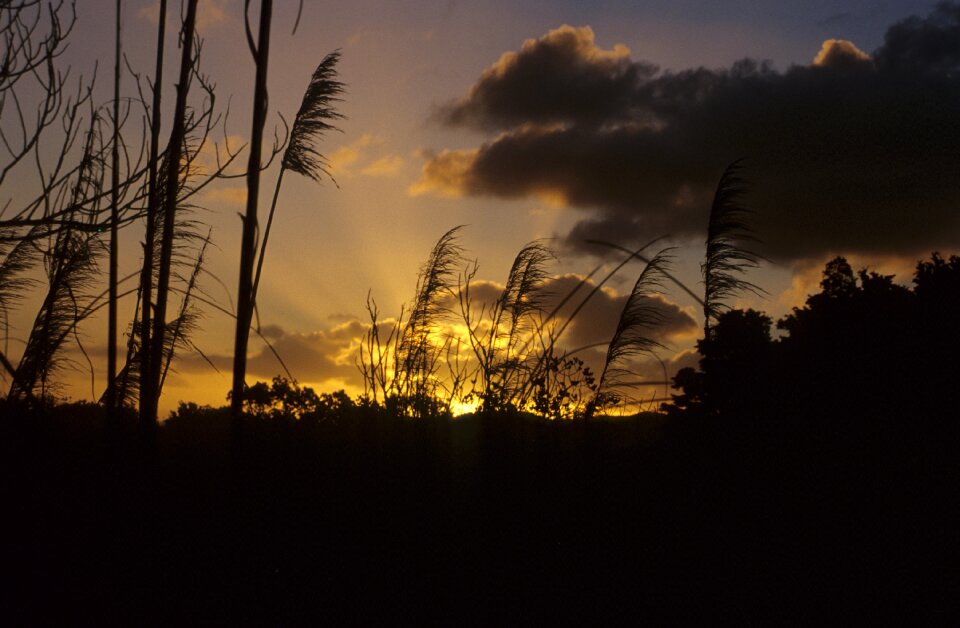 Evening clouds sky