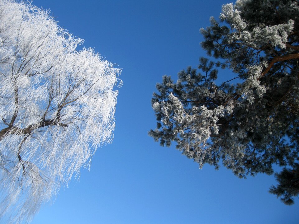 Asahikawa winter tokiwa