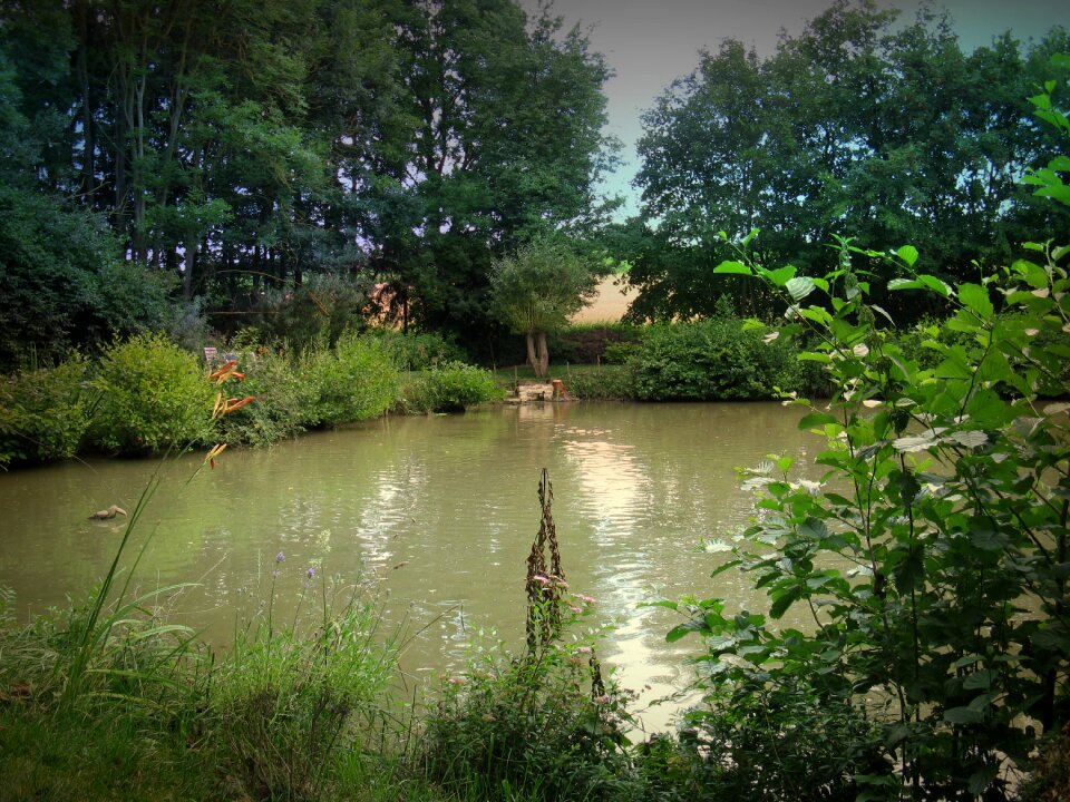 Water lake landscape