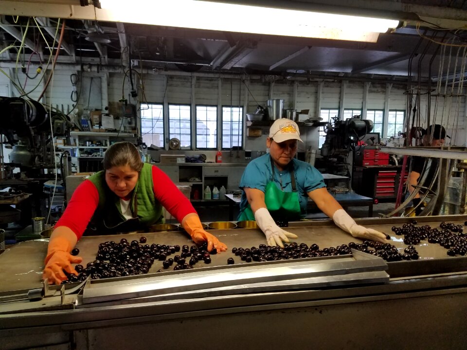 Process cherries fruit