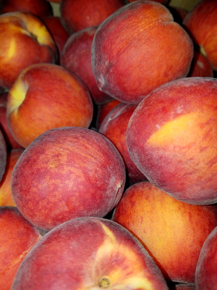 Food fresh healthy