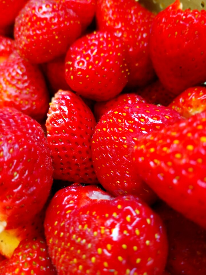 Seeds food fruit