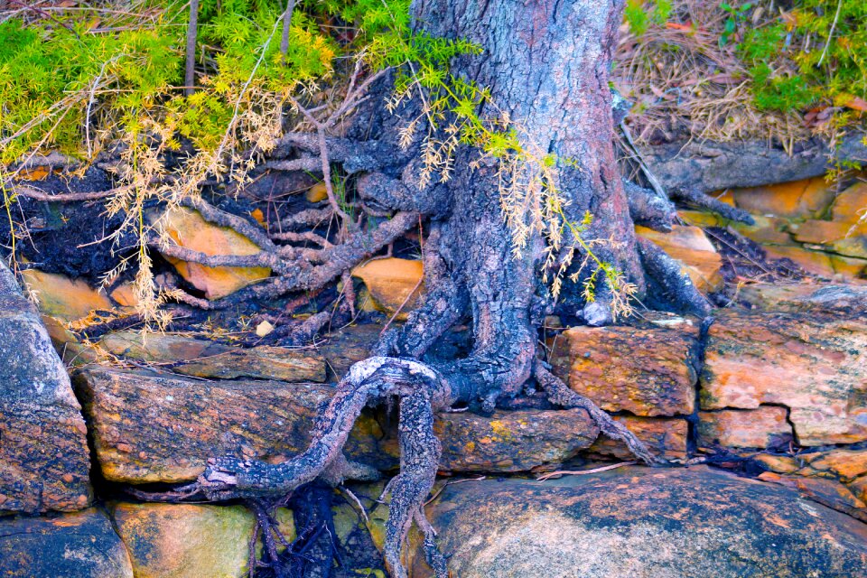 Nature landscape wilderness