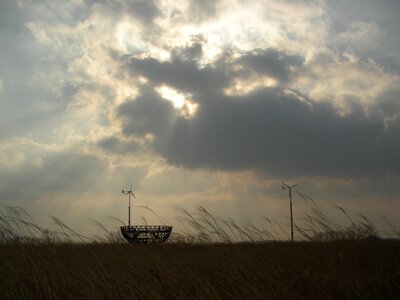 Miscanthus grass seoul sky park landscape landscape photo