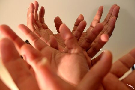 Body fingers palm of hand