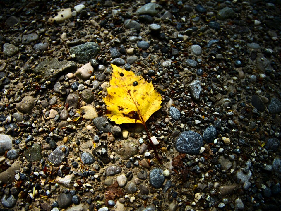 Outdoor seasons fall