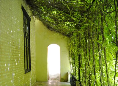 Alcazar hall gardening